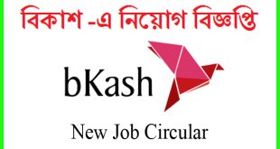 Bkash Job Circular