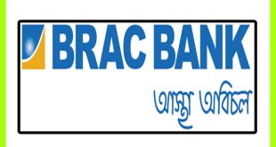 brac bank limited circular job