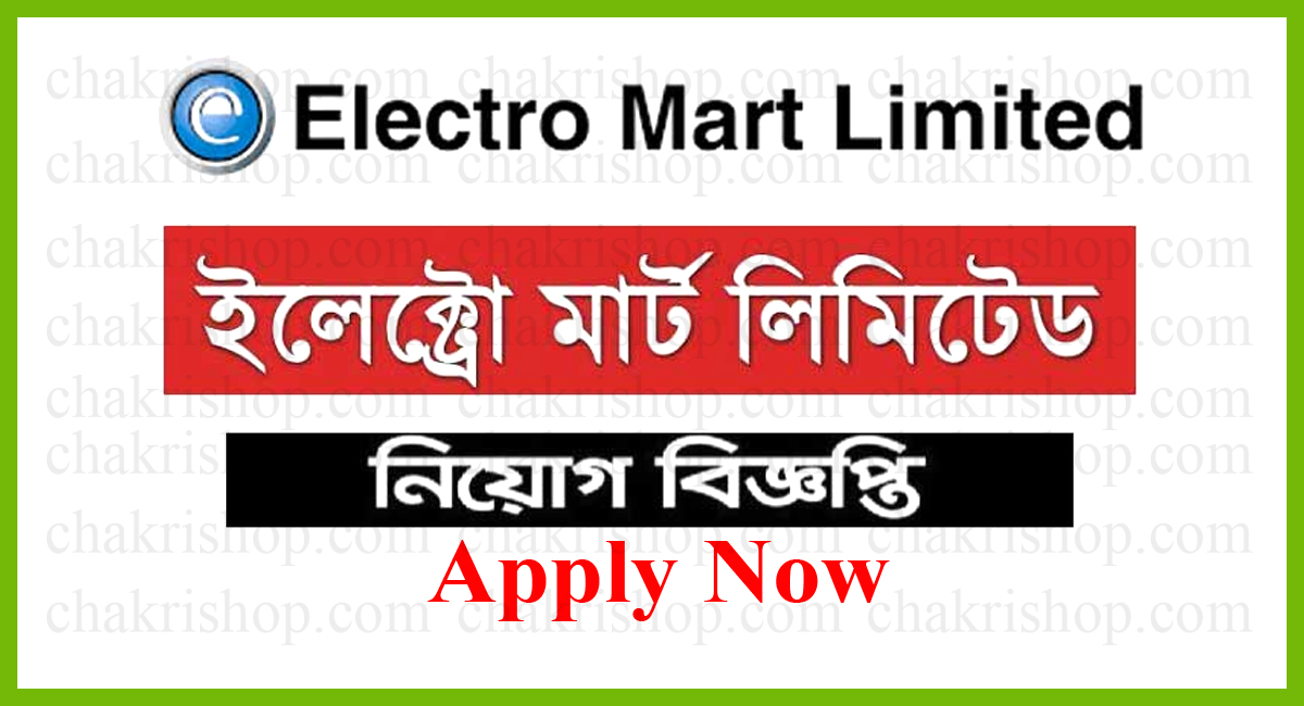 Electro Mart job