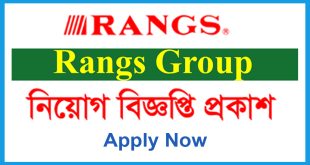 Rangs Group Job
