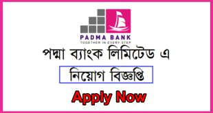 Padma Bank Job circular